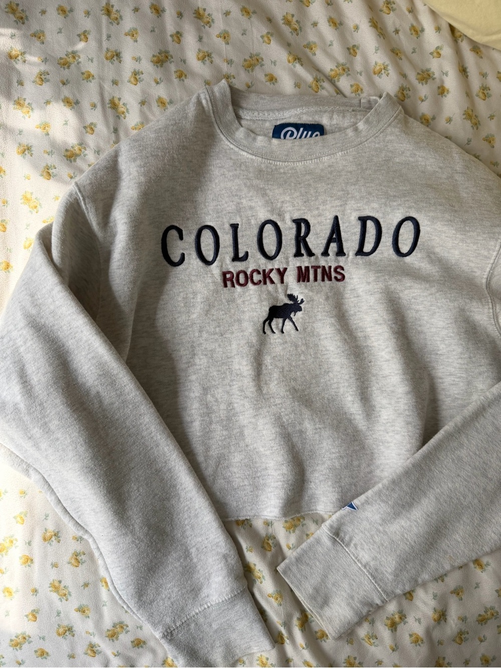 Blue 84 Light Gray Colorado Rocky Mtns Cropped Sweatshirt